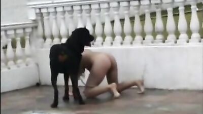 Alice Blonde pigtail and horse