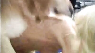 Teen fucked and licked by dog