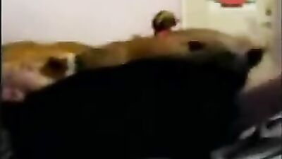 Blonde teen go to horse cock