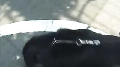 Thug life dog