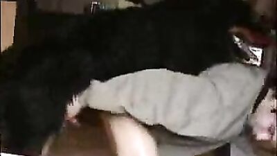 Sex with dogs and horses