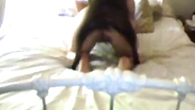 two dogs punishment