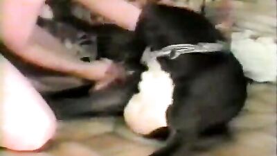 MILF sucking Dog and Husband