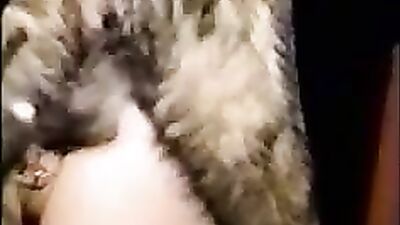 Knotting Cuties Canine Cock Slobber