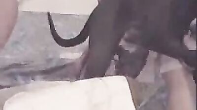 Dobies Slut Delight