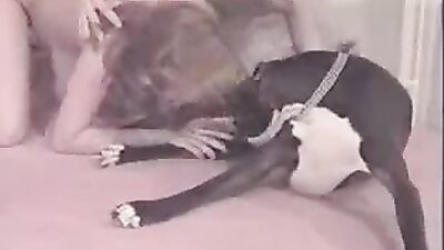 Dobies Slut Delight