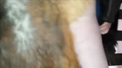 Harries pounding