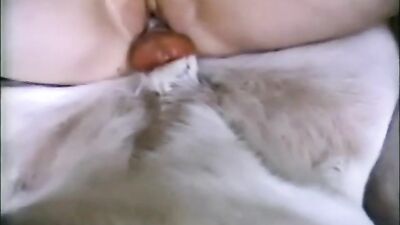 T-girls and Dogs Double doggie cum