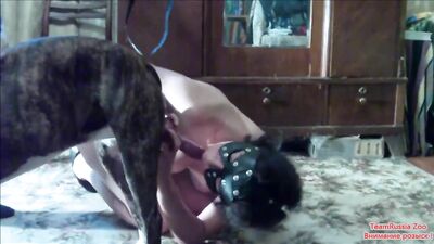 Teenies and Dogs, Andy and Friends