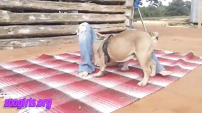 Animal 7