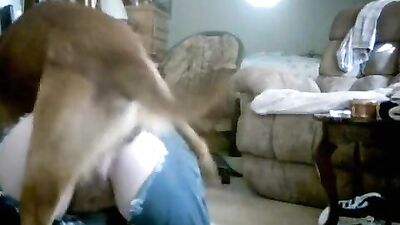 amateur webcam sex