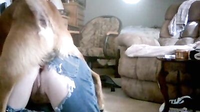 amateur webcam sex