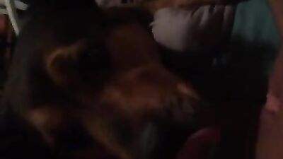 milking dog cock