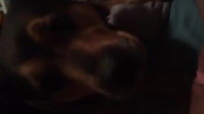 milking dog cock
