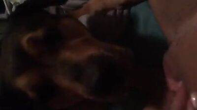 milking dog cock