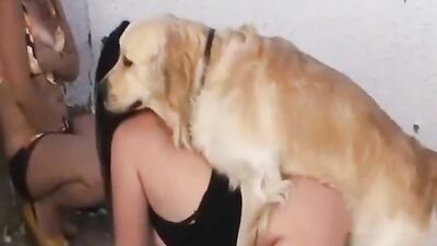 cute shemale
