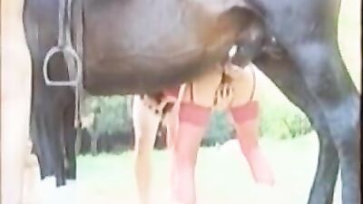 Dakota alternately with 2 dogs - my best scenes