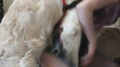AOZ - Irresistible Lise - girl fuck two dogs