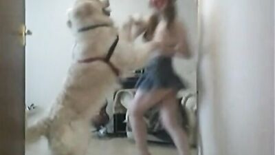 AOZ - Irresistible Lise - girl fuck two dogs
