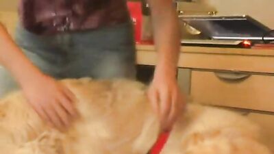 AOZ - Irresistible Lise - girl fuck two dogs
