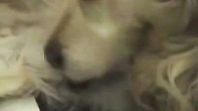Puppy Lovers Dream Cum Scenario