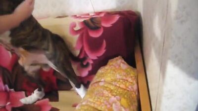 blonde pleases dog amateur