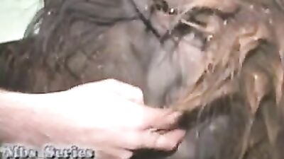 Dog used as a dildo by teen