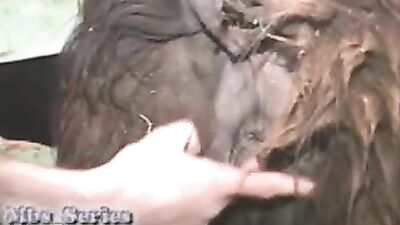 Dog used as a dildo by teen