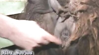 Dog used as a dildo by teen