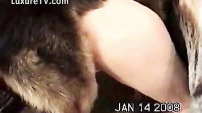 Miss F dog fuck