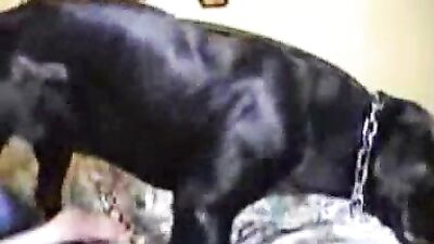 Private home dog sex