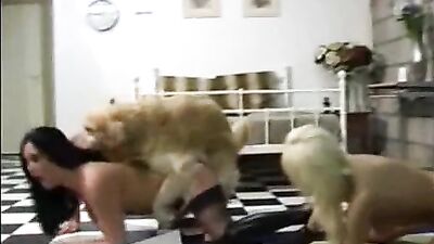 Doggone Lucky Boy Gets Sloppy Blowjob From Slutty Pooch Andy