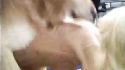 Doggone Lucky Boy Gets Sloppy Blowjob From Slutty Pooch Andy