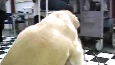 Doggone Lucky Boy Gets Sloppy Blowjob From Slutty Pooch Andy