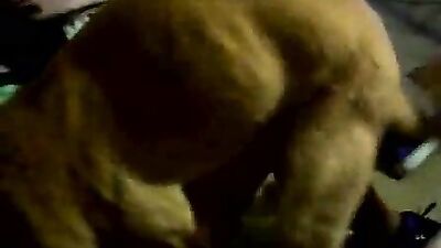 ArkAfterDark boo4