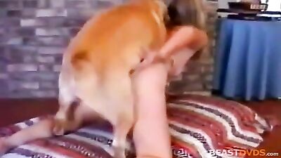 ArkAfterDark blondie1