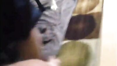 andy private horny dog