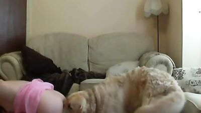 Milly Gets Overloaded with Horse Cum