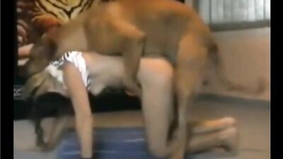 Amateur - Small puppy and girl