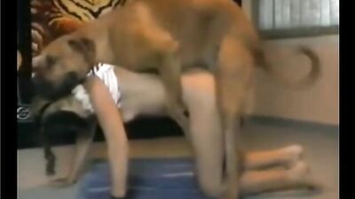 Amateur - Small puppy and girl
