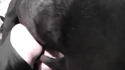 Mom 48 son 29 unbelievable blowjob