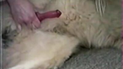 Rough painful anal