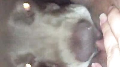 KCs Messy BJ