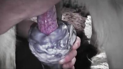 New Amateur Blowjob 2