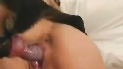 Wifes Wet Pussy vs. Hungry Hounds Hard-On