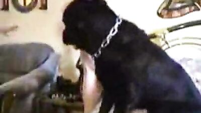 dane fucks guy
