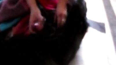 Terrier Fucks Good
