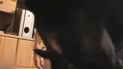 Horse Hung Stud Gets Thorough Doctors Exam