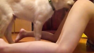 Blonde girl suckin big cock