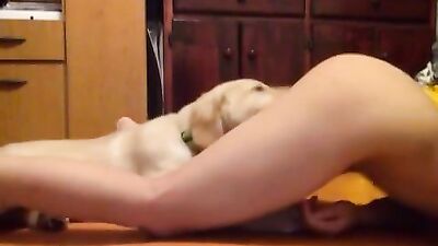 Blonde girl suckin big cock